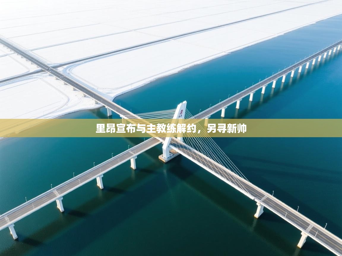 里昂宣布与主教练解约，另寻新帅  第2张