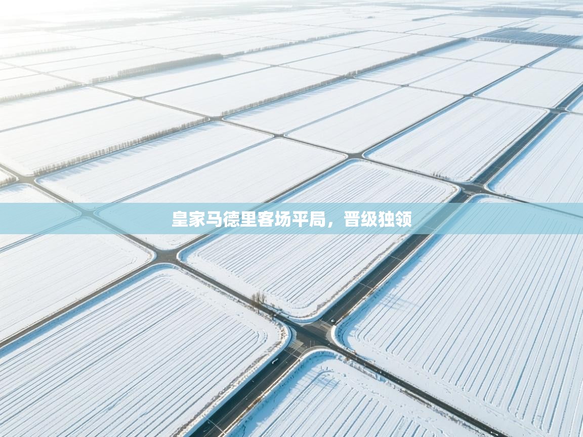 皇家马德里客场平局，晋级独领  第2张