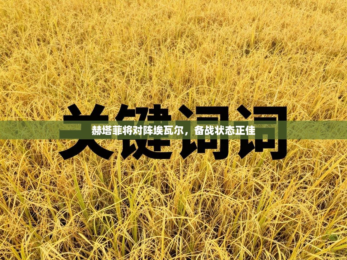 赫塔菲将对阵埃瓦尔，备战状态正佳  第2张