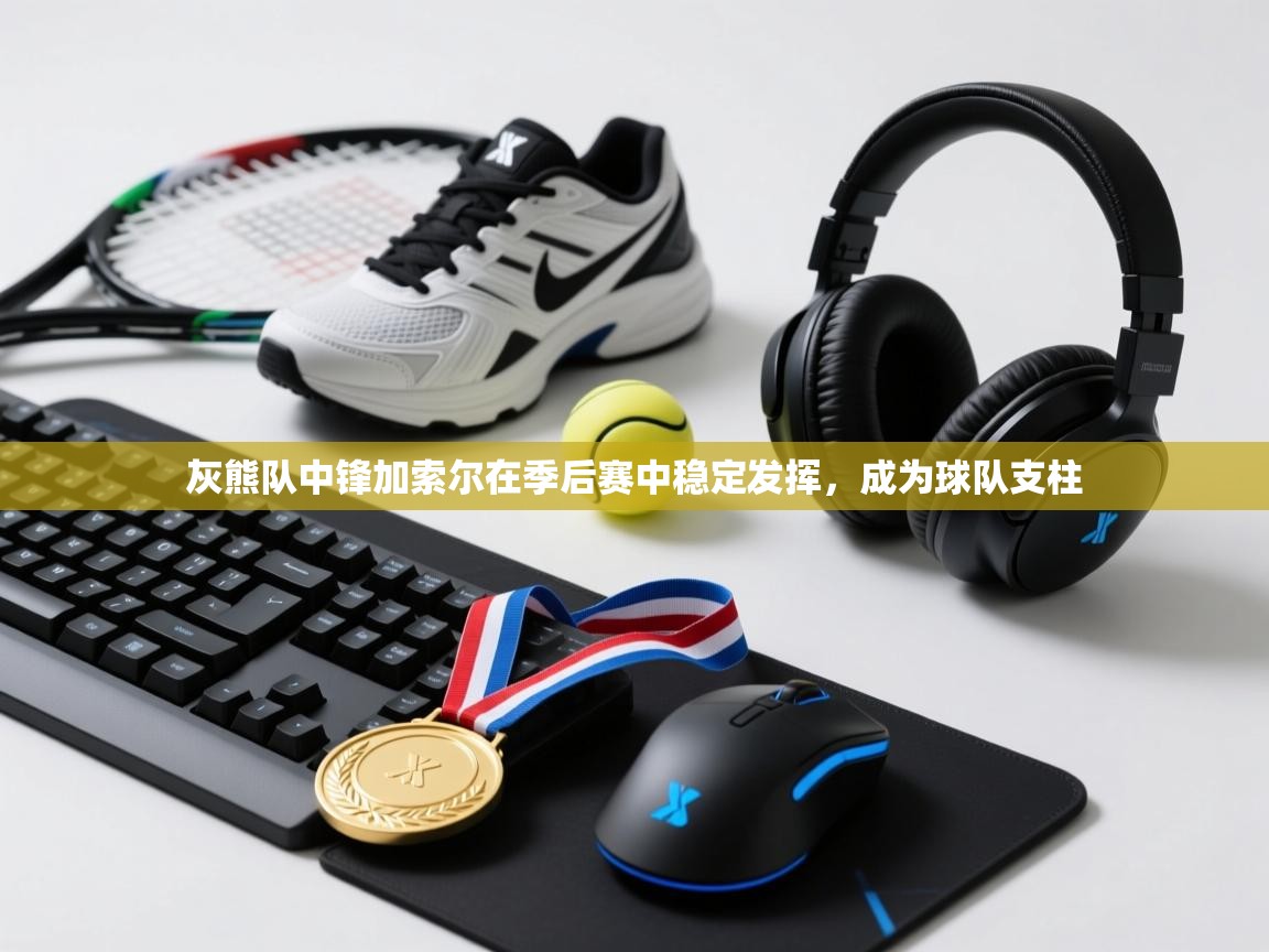 灰熊队中锋加索尔在季后赛中稳定发挥，成为球队支柱  第2张