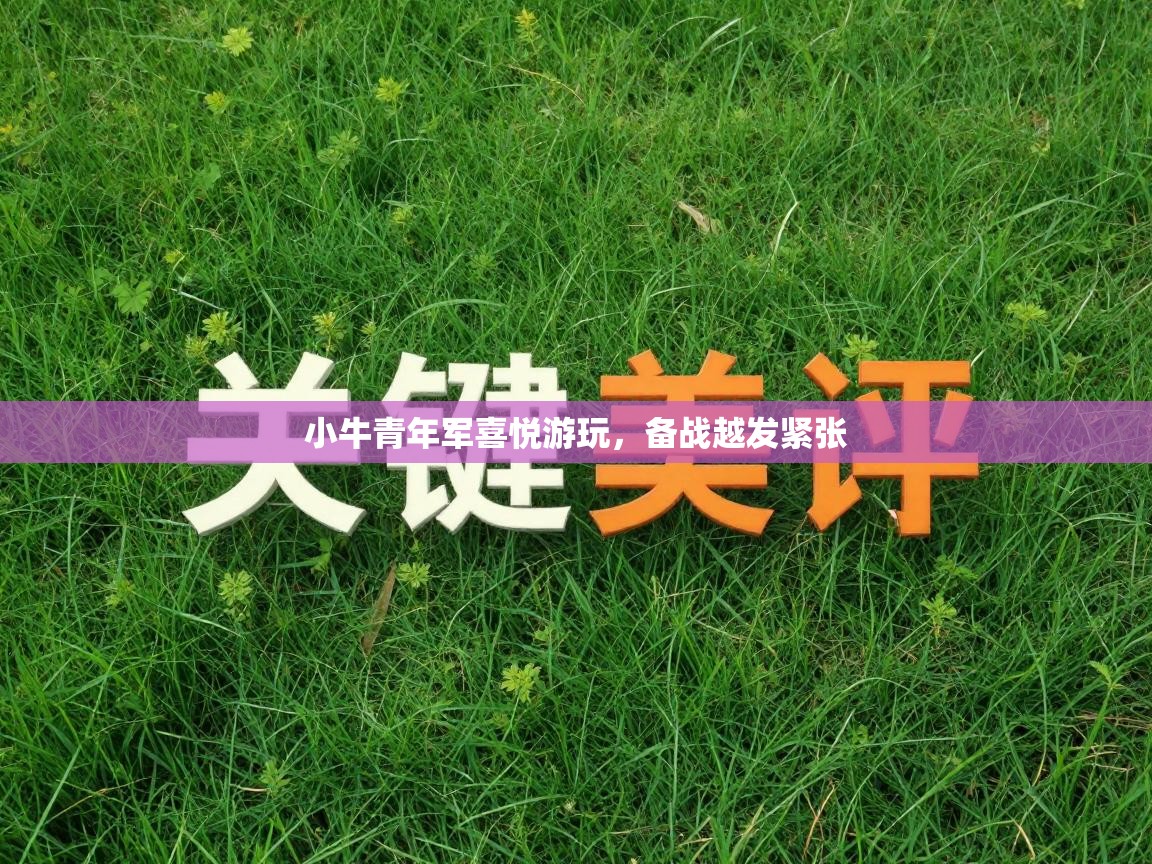 小牛青年军喜悦游玩，备战越发紧张